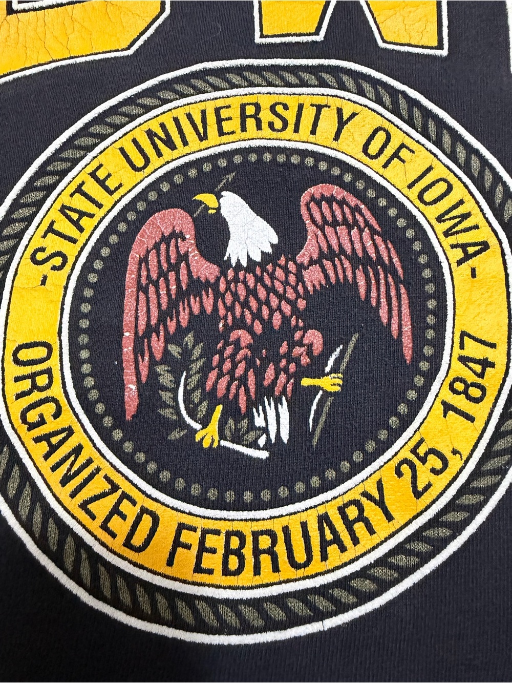 University of Iowa Hawkeyes Galt Sand Crewneck Sweater Vintage Size Medium - Picture 4 of 9